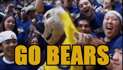 Crowd Around Bear Mascot Go Bears GIF