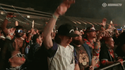 Crowd At Concert InsomniaCTV GIF
