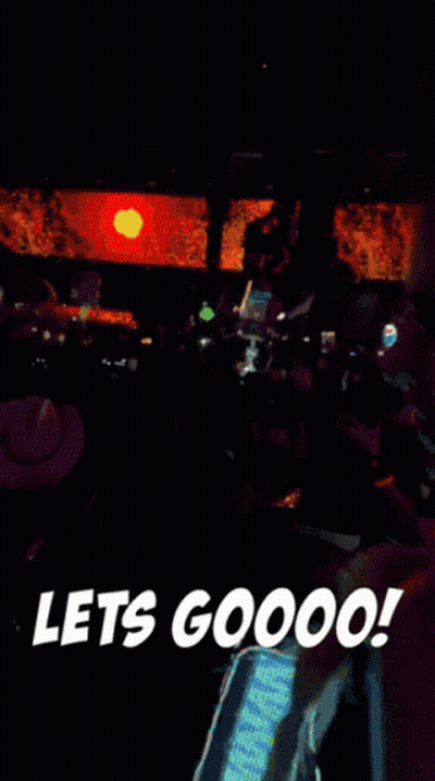 Crowd At Concert Lets Go GIF