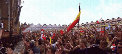 Crowd At Concert Man Holding Raven Flag GIF