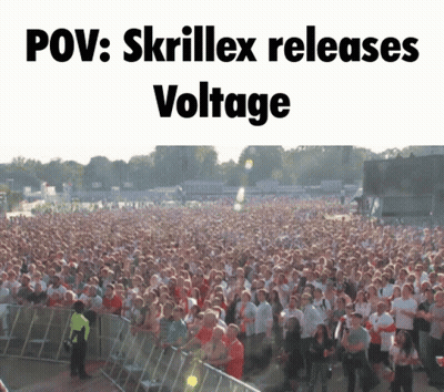 Crowd At Concert POV Skrillex Releases Voltage GIF