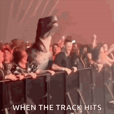 Crowd At Concert When The Track Hits GIF