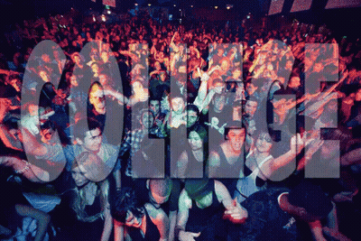 Crowd At Concert With College Sign GIF