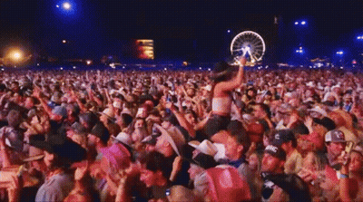Crowd At Concert With Ferris Wheel GIF