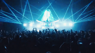 Crowd At Concert With Hands In Air GIF
