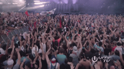 Crowd At Concert With Ultra TV GIF
