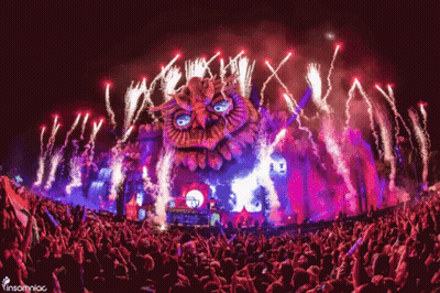 Crowd At Insomniac Concert GIF