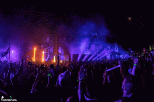 Crowd At Insomniac Concert GIF