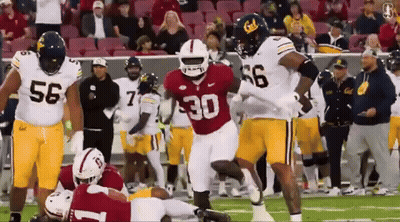 Crowd Cheering Aggie Pride GIF