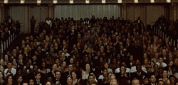 Crowd Cheering At Auditorium GIF