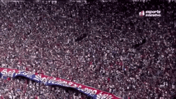 Crowd Cheering At Stadium GIF