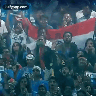 Crowd Cheering In Stadium GIF