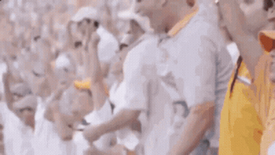 Crowd Cheering In Stadium GIF