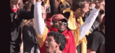 Crowd Cheering In Stadium GIF