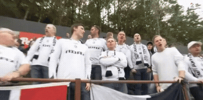 Crowd Cheering In Stadium GIF