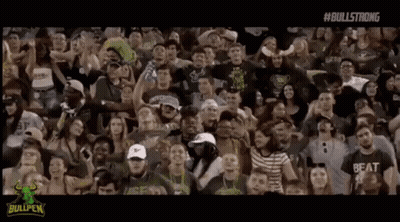 Crowd Cheering in Stadium Watching Game