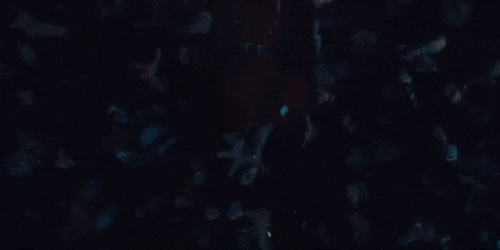 Crowd Dance As They Pass On Red Coffin GIF