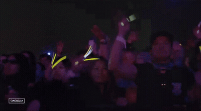 Crowd Dancing At Campbella Concert GIF