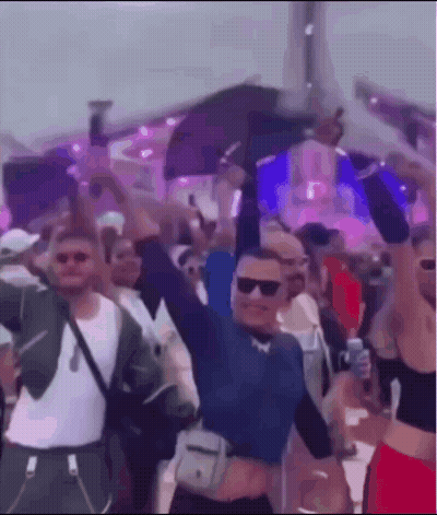 Crowd Dancing At Music Festival GIF