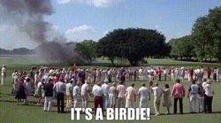 Crowd Gathering Around Gold Course In Caddyshack GIF
