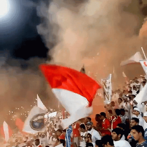 Crowd Holding Flags One Says BMW GIF