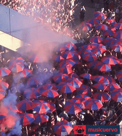 Crowd Holding Red And Blue Umbrellas Musicervo Sign GIF