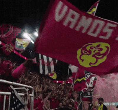 Crowd Holding Red Flag Saying Vamos GIF