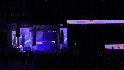 Crowd In Front Of Technical High Party Stage GIF