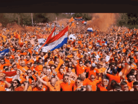 Crowd In Orange Shirts Cheering And Holding Flags GIF