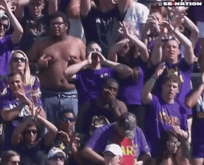 Crowd In Purple Shirts Watching Football GIF