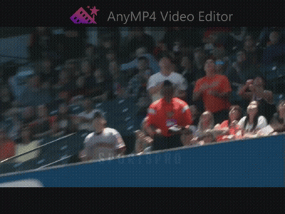 Crowd In Stadium Anymp4 Video Editor GIF