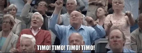 Crowd In Stadium Hands Up With Timo Timo Timo Timo GIF