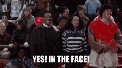 Crowd In Stadium Saying Yes In The Face GIF