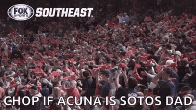 Crowd In Stadium Watching Game GIF