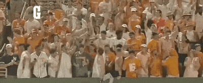 Crowd In Stadium With Arms Up And Good Ol Sign GIF