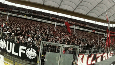 Crowd In Stadium With Banner Saying Ulf GIF
