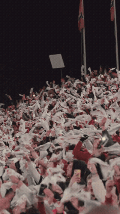 Crowd In Stadium With Flags Flying GIF
