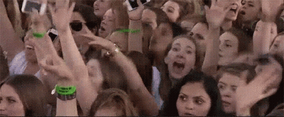 Crowd In Stadium With Hands In Air GIF