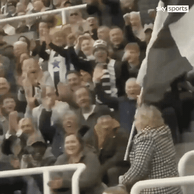 Crowd In Stadium With Sky Sports GIF
