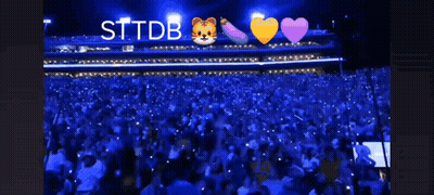 Crowd In Stadium With STTDB GIF