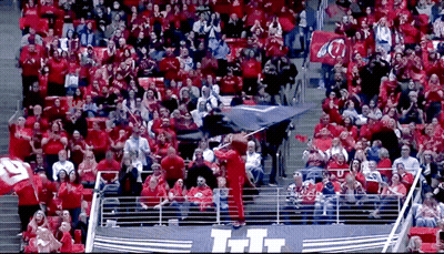 Crowd In Stadium With UI Banner GIF