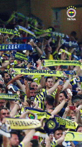 Crowd In Yellow And Blue Fenerbahce Scarves GIF