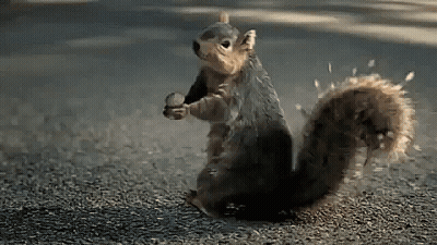 Crowd Of Shirtless People In Stadium GIF