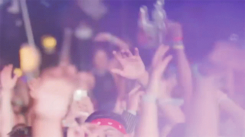 Crowd Raising Hands GIF