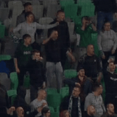 Crowd Sitting In Stadium Watching Game GIF