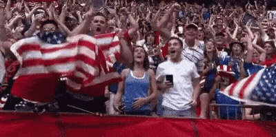 Crowd Standing With Arms In Air In Stadium GIF