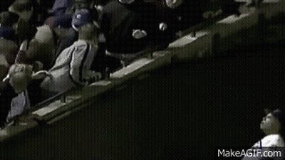 Crowd Watching Baseball Game GIF