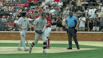 Crowd Watching Baseball Game With Detroit Shirt GIF