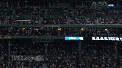 Crowd Watching Baseball Game With MLB.com GIF