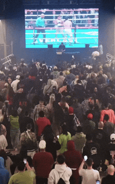 Crowd Watching Boxing Match GIF